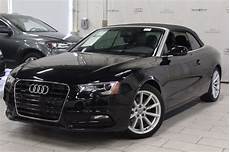 Audi Car Battery