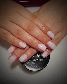 Auto Paste And Polishes