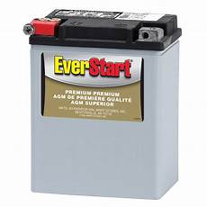 Everstart Battery