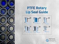 Ptfe Sealing Gasket