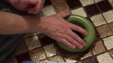 Seal Gasket